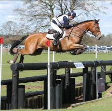 Jul 01, 2021 · the british olympic team of oliver townend, travelling reserve piggy march, laura collett, and tom mcewen. Laura Collett Eventing Facebook