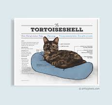 Obviously these are fictional dogs, but could use design idea. Tortoiseshell Cat Diagram Art Print Funny Gift For Cat Lovers