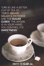 Pin By On Islamic Quotes Related To Life Muse Quotes Cool Words