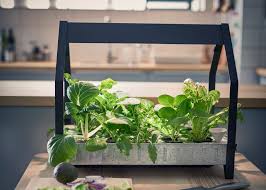Imagine your own hydroponics farm in your own home. Ikea Moves Into Indoor Gardening With Hydroponic Kit