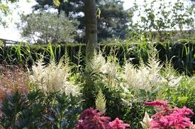 Garten von ehren weicht bruder johannes von ehren plädierte dafür, neue glashäuser neben das center zu setzen und das sortiment auf. Stauden Im Garten Von Ehren Klassisch Garten Hamburg Von Garten Von Ehren