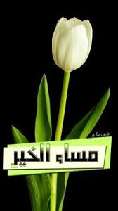مساء الخير شعر الخير شعر مساء Good Morning Arabic Beautiful Morning Beautiful Quotes