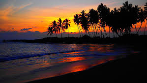 Tree palm tree beach palm sunset beach sunset beach tree beach palm sunset palm sunset tree summer sea background sun backdrop symbol landscape element decoration silhouette nature icon seascape sky coconut sunlight vacation grass dark decorative sketch cartoon coconut trees island. Hd Wallpaper Beach Sunset Palm Trees Water Sky Scenics Nature Beauty In Nature Wallpaper Flare