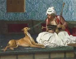 Rever De Chien En Islam Signification Et Interpretation