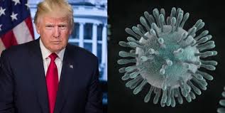 Image result for ترامپ زیر پای ویروس کوچک