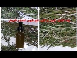 طريقة استخراج زيت اكليل الجبل او الازير لمنع ظهور الشعر الأبيض وتساقط الشعر ومنع ظهور حب الشباب Youtube Bottles Decoration
