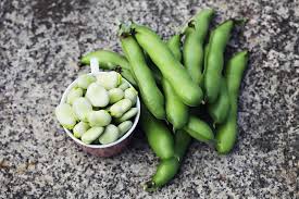 How To Cook And Serve Fava Beans Harvest To Table