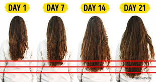 7 Foods You Need To Accelerate Hair Growth Hair Growth Foods Accelerate Hair Growth Hair Growth Diy