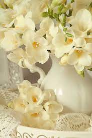 Freesia By Catherine Wood Freesia Flowers Beautiful Flowers Flowers