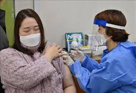 A covid‑19 vaccine is a vaccine intended to provide acquired immunity against severe acute respiratory syndrome coronavirus 2 (sars‑cov‑2), the virus causing coronavirus disease 2019. Han Quá»'c Ä'áº©y Nhanh Viá»‡c Tiem Chá»§ng Vaccine Ngá»«a Covid 19 Cá»§a Astrazeneca áº£nh Thá»i Sá»± Quá»'c Táº¿ VÄƒn Hoa Xa Há»™i Thong Táº¥n Xa Viá»‡t Nam Ttxvn