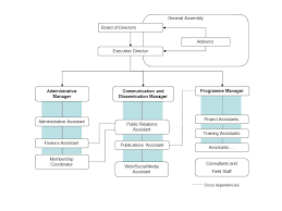 organizational structure of an ngo