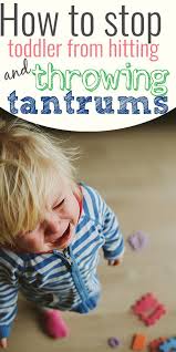 Step By Step Guide On How To Handle Toddler Hitting In Less Than 3 Days In 2020 Hitting Toddler Tantrums Toddler Throwing Tantrums