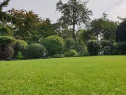 Über viele jahrhunderte hinweg war kassel sogar die hauptstadt des bundeslandes. Gartenpflege Kassel Martin Oschmann Garten Und Landschaftsbau