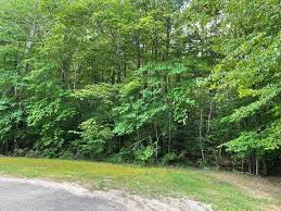 Check spelling or type a new query. Bracey Va Real Estate Homes For Sale Trulia