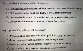 284 Factors Influencing Membrane Fluidity - Youtube