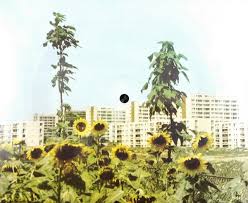 Am fost la un pas de fericire.dar dumnezeu asa a vrut sa fie!!! Marcela Rusu La Un Pas De Fericire 1963 Fotodisc Flexi Disc Discogs