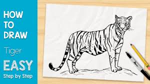 Coloring page, how to draw a tiger face step by step was posted august 14, 2019 at 5:20 am by mandalayrestaurantcafe.net. How To Draw A Tiger In 5 Minutes Easy Step By Step Youtube