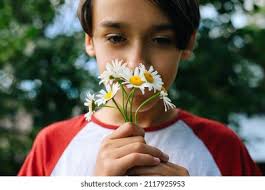 Daisy Dreams: Over 9,485 Royalty-Free Licensable Stock Photos