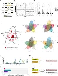 Dromedarius), which inhabits the middle east. Evidence From Ileum And Liver Transcriptomes Of Resistance To High Salt And Water Deprivation Conditions In Camel Zoological Letters Full Text