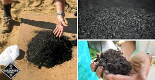 Maybe you would like to learn more about one of these? What Is Biochar Should You Add It To Your Garden Gardening Channel
