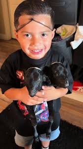 #animals #2headgoats #fyp #fypシ #viral #2headanimals #foryoupage