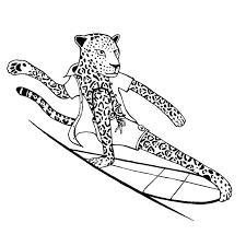 The surfing animals alphabet bundle ( 2 books ) $49.00. The Surfing Animals Alphabet Coloring Book Jonas Claesson Shop