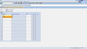 Sap Mm Physical Inventory Youtube