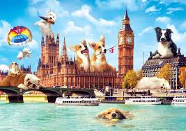 Check spelling or type a new query. Dogs In London 1000 Pieces Trefl Puzzle Warehouse