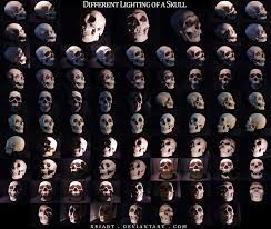 Different Lighting Of A Skull Skull Reference Shadow Drawing Shadow Painting
