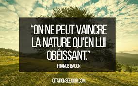 Terms in this set (44). Voici Les 40 Plus Belles Citations Sur La Nature
