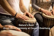 Nature's Beat: Drum Circle Harmony