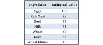 Whats The Best Protein Source For Your Dog Happy Tails