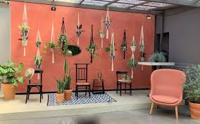 Haus und garten has 2,834 members. Urban Jungle Wandgestaltung Mit Pflanzen Farbefreudeleben