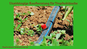 Willkommen bei unserem garten bewässerungssystem test. Tropfschlauch Test 2020 Die Besten 5 Im Vergleich Videos