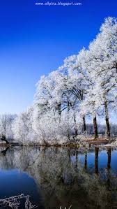 Wall2mob is your best source of beautiful smartphone wallpapers. Nokia Mobile Wallpaper Hd Free Download 640x1136 Wallpaper Teahub Io