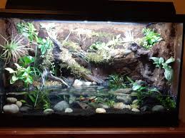Fire Belly Toad Tank Aquarium Landscape Frog Tank Planted Aquarium