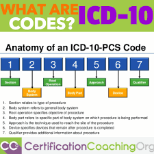 Pin On Cpc Coding