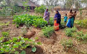 Visit our site and look results your of request. Nutri Gardening Initiative Promises Better Nutrition For Tribal Women Farmers The Wire Science