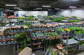 By clicking on sign up, you agree to depositphotos membership agreement *. United Flower Growers Ltd Linkedin