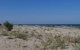 Located in the central part of the country and in the historical region of transylvania, it lies on the olt river in a valley between the baraolt mountains and bodoc mountains. RedescoperÄƒ Dobrogea Iv Sfantu Gheorghe Din DeltÄƒ Plaja InfinitÄƒ Cainii È™i Ruinele Travel Zoom