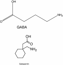 implications and mechanism of action of gabapentin in