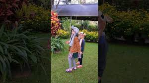 Makan malam di ipoh jumlah. Percutian Di Sunlight Suites Cameron Highlands Youtube