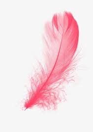 Feather Feather Clipart Soft Png Transparent Clipart Image And Psd File For Free Download Flamingo Art Print Feather Wallpaper Feather Painting