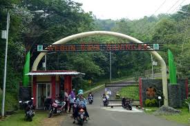 Temukan tempat wisata terbaik di banjarnegara, jawa tengah. Serunya Mengunjungi Destinasi Wisata Baru Kebun Raya Kuningan Halaman All Kompas Com