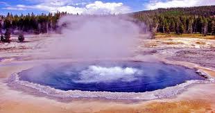 You can use this swimming information to make your own swimming trivia questions. After Getting Caught Cooking Chickens In Hot Springs Man Banned From Yellowstone Qs Study