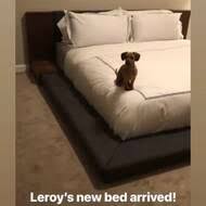 Defalco platform bed foundry select color: Platform Beds Beds Frames Bases Defalco Upholstered Platform Bed Instructions Pdf