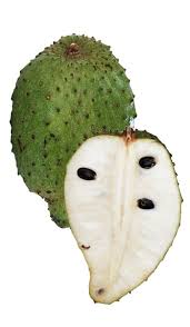 Orders received by by noon each sunday are fulfilled two days later on tuesdays. Soursopguanabana Tree