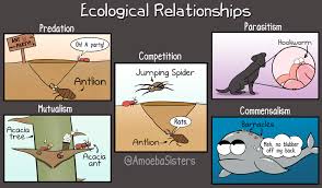 Ecological Relationships - SCIENCE WITH THE AMOEBA SISTERS