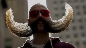 Det var kattens! Mis afbryder kamp i flere minutter