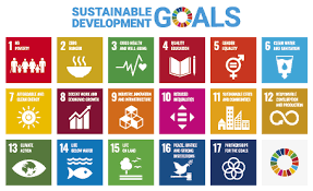 The sustainable development goals are the blueprint to achieve a better and more sustainable future for all. Relationship With Sdgs Thk Global English
